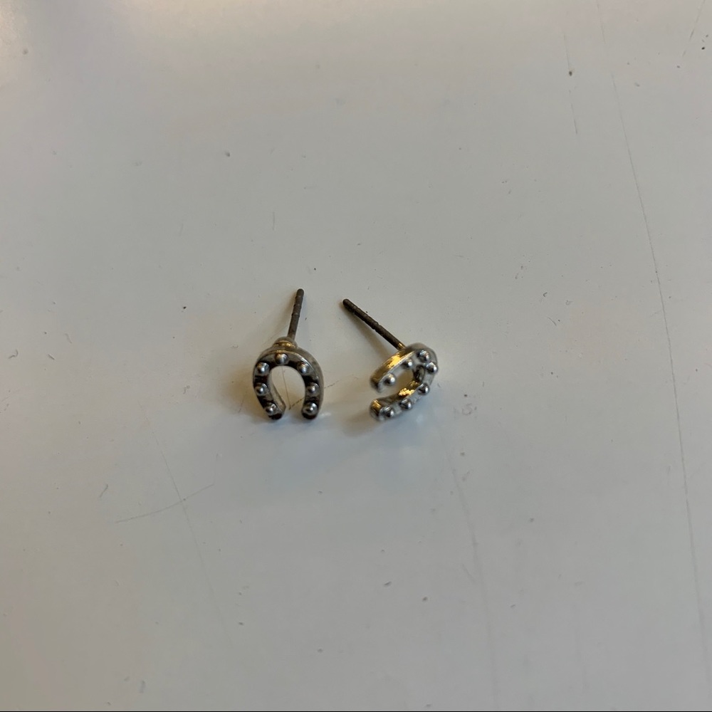 Horseshoe earrings